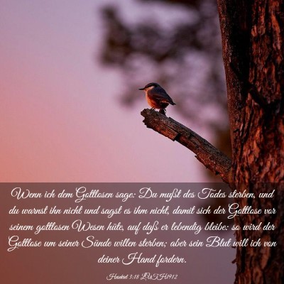 Picture 03 - Hesekiel 3:18 LUTH1912 - Wenn ich dem Gottlosen sage: Du mußt des Todes - Bible Verse Picture