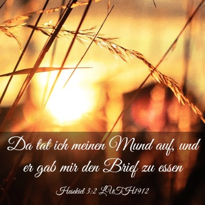 Picture 03 - Hesekiel 3:2 LUTH1912 - Da tat ich meinen Mund auf, und er gab mir den - Bible Verse Picture
