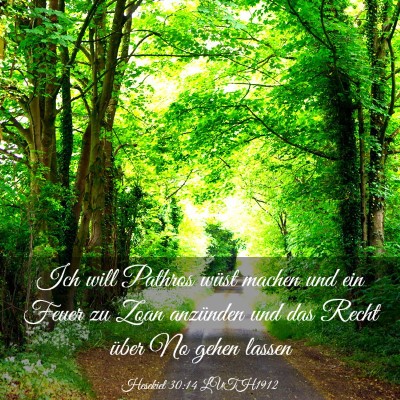 Picture 03 - Hesekiel 30:14 LUTH1912 - Ich will Pathros wüst machen und ein Feuer zu - Bible Verse Picture