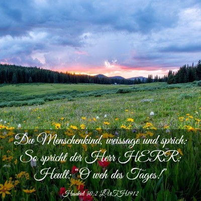 Picture 03 - Hesekiel 30:2 LUTH1912 - Du Menschenkind, weissage und sprich: So spricht - Bible Verse Picture