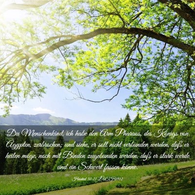 Picture 03 - Hesekiel 30:21 LUTH1912 - Du Menschenkind, ich habe den Arm Pharaos, des - Bible Verse Picture