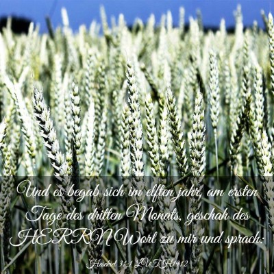 Picture 03 - Hesekiel 31:1 LUTH1912 - Und es begab sich im elften jahr, am ersten Tage - Bible Verse Picture