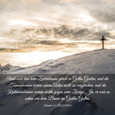 Picture 03 - Hesekiel 31:8 LUTH1912 - Und war ihm kein Zedernbaum gleich in Gottes - Bible Verse Picture
