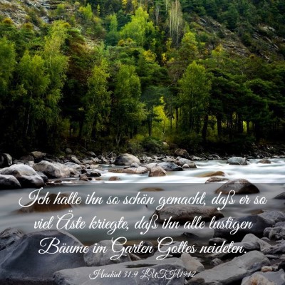 Picture 03 - Hesekiel 31:9 LUTH1912 - Ich hatte ihn so schön gemacht, daß er so viel - Bible Verse Picture
