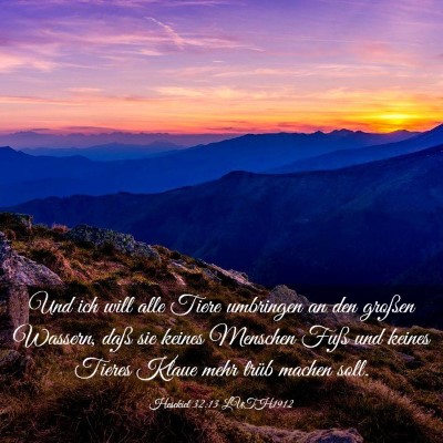 Picture 03 - Hesekiel 32:13 LUTH1912 - Und ich will alle Tiere umbringen an den großen - Bible Verse Picture