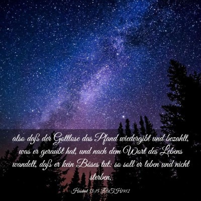 Picture 03 - Hesekiel 33:15 LUTH1912 - also daß der Gottlose das Pfand wiedergibt und - Bible Verse Picture