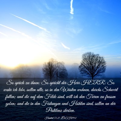 Picture 03 - Hesekiel 33:27 LUTH1912 - So sprich zu ihnen: So spricht der Herr HERR: So - Bible Verse Picture