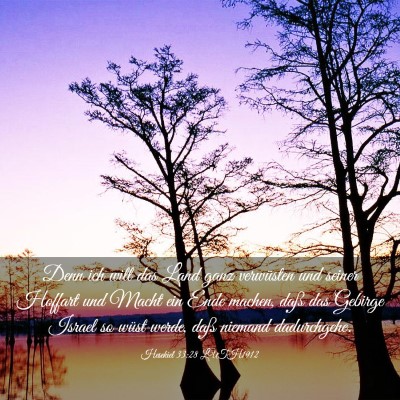 Picture 03 - Hesekiel 33:28 LUTH1912 - Denn ich will das Land ganz verwüsten und seiner - Bible Verse Picture