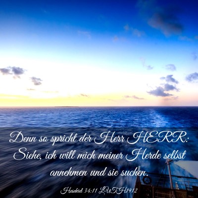 Picture 03 - Hesekiel 34:11 LUTH1912 - Denn so spricht der Herr HERR: Siehe, ich will - Bible Verse Picture
