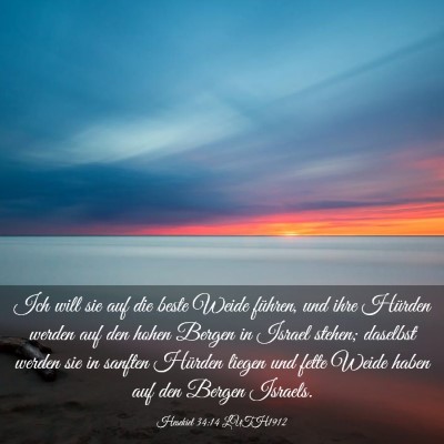 Picture 03 - Hesekiel 34:14 LUTH1912 - Ich will sie auf die beste Weide führen, und - Bible Verse Picture