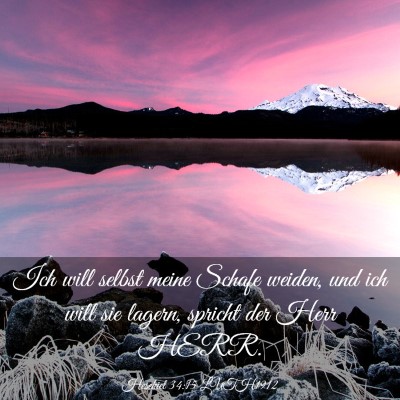 Picture 03 - Hesekiel 34:15 LUTH1912 - Ich will selbst meine Schafe weiden, und ich will - Bible Verse Picture