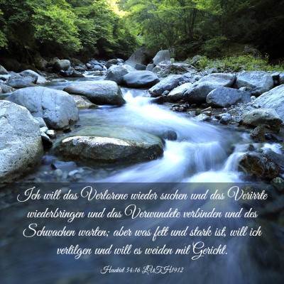 Picture 03 - Hesekiel 34:16 LUTH1912 - Ich will das Verlorene wieder suchen und das - Bible Verse Picture