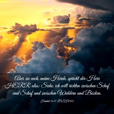Picture 03 - Hesekiel 34:17 LUTH1912 - Aber zu euch, meine Herde, spricht der Herr HERR - Bible Verse Picture