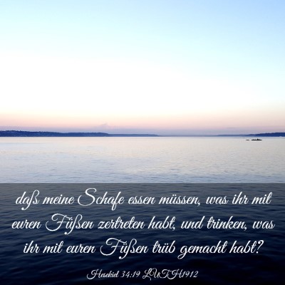 Picture 03 - Hesekiel 34:19 LUTH1912 - daß meine Schafe essen müssen, was ihr mit - Bible Verse Picture