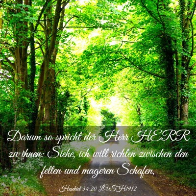 Picture 03 - Hesekiel 34:20 LUTH1912 - Darum so spricht der Herr HERR zu ihnen: Siehe, - Bible Verse Picture
