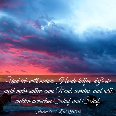 Picture 03 - Hesekiel 34:22 LUTH1912 - Und ich will meiner Herde helfen, daß sie nicht - Bible Verse Picture