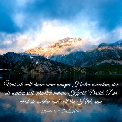 Picture 03 - Hesekiel 34:23 LUTH1912 - Und ich will ihnen einen einigen Hirten erwecken, - Bible Verse Picture