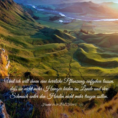 Picture 03 - Hesekiel 34:29 LUTH1912 - Und ich will ihnen eine herrliche Pflanzung - Bible Verse Picture