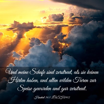 Picture 03 - Hesekiel 34:5 LUTH1912 - Und meine Schafe sind zerstreut, als sie keinen - Bible Verse Picture