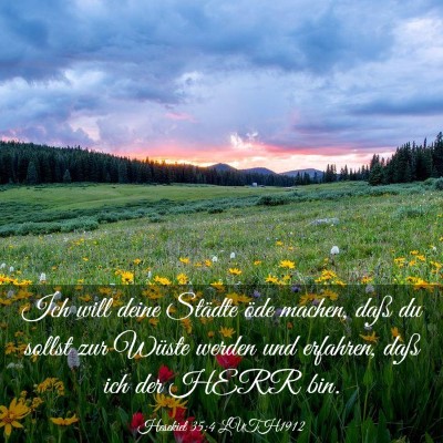 Picture 03 - Hesekiel 35:4 LUTH1912 - Ich will deine Städte öde machen, daß du - Bible Verse Picture