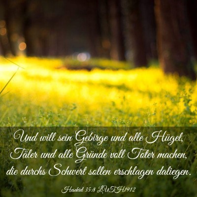 Picture 03 - Hesekiel 35:8 LUTH1912 - Und will sein Gebirge und alle Hügel, Täler und - Bible Verse Picture