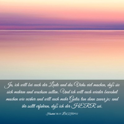 Picture 03 - Hesekiel 36:11 LUTH1912 - Ja, ich will bei euch der Leute und des Viehs - Bible Verse Picture