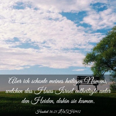 Picture 03 - Hesekiel 36:21 LUTH1912 - Aber ich schonte meines heiligen Namens, welchen - Bible Verse Picture