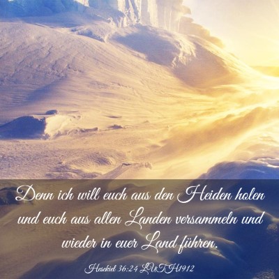 Picture 03 - Hesekiel 36:24 LUTH1912 - Denn ich will euch aus den Heiden holen und euch - Bible Verse Picture