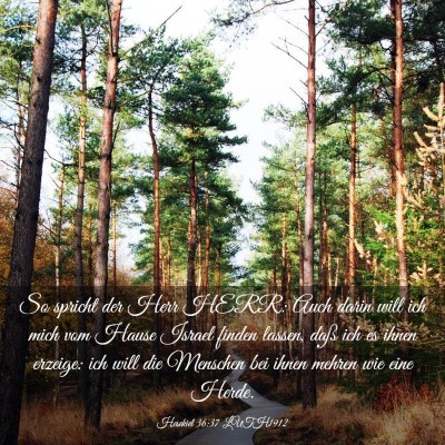 Picture 03 - Hesekiel 36:37 LUTH1912 - So spricht der Herr HERR: Auch darin will ich - Bible Verse Picture