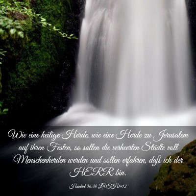 Picture 03 - Hesekiel 36:38 LUTH1912 - Wie eine heilige Herde, wie eine Herde zu - Bible Verse Picture