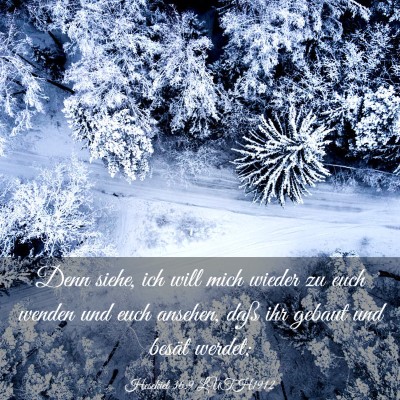 Picture 03 - Hesekiel 36:9 LUTH1912 - Denn siehe, ich will mich wieder zu euch wenden - Bible Verse Picture