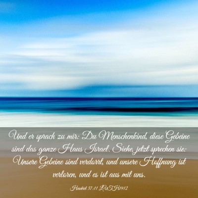 Picture 03 - Hesekiel 37:11 LUTH1912 - Und er sprach zu mir: Du Menschenkind, diese - Bible Verse Picture