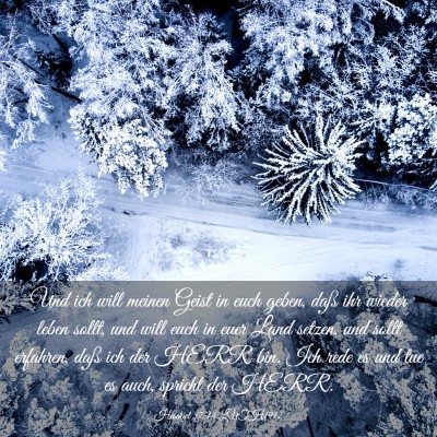 Picture 03 - Hesekiel 37:14 LUTH1912 - Und ich will meinen Geist in euch geben, daß ihr - Bible Verse Picture