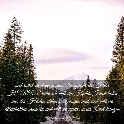 Picture 03 - Hesekiel 37:21 LUTH1912 - und sollst zu ihnen sagen: So spricht der Herr - Bible Verse Picture