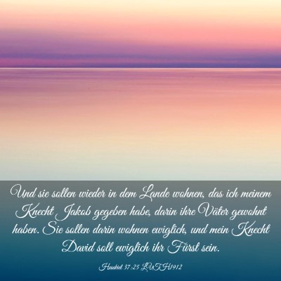 Picture 03 - Hesekiel 37:25 LUTH1912 - Und sie sollen wieder in dem Lande wohnen, das - Bible Verse Picture