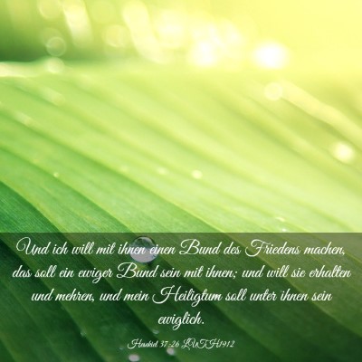 Picture 03 - Hesekiel 37:26 LUTH1912 - Und ich will mit ihnen einen Bund des Friedens - Bible Verse Picture