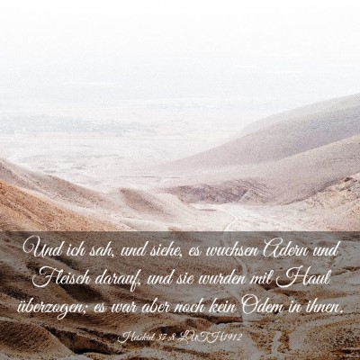 Picture 03 - Hesekiel 37:8 LUTH1912 - Und ich sah, und siehe, es wuchsen Adern und - Bible Verse Picture