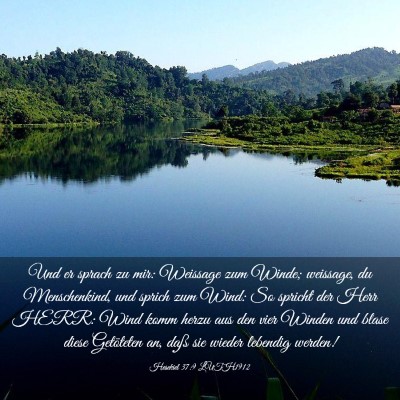 Picture 03 - Hesekiel 37:9 LUTH1912 - Und er sprach zu mir: Weissage zum Winde; - Bible Verse Picture