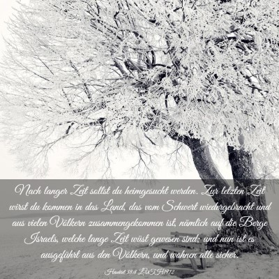 Picture 03 - Hesekiel 38:8 LUTH1912 - Nach langer Zeit sollst du heimgesucht werden. - Bible Verse Picture