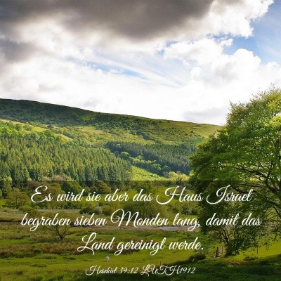 Picture 03 - Hesekiel 39:12 LUTH1912 - Es wird sie aber das Haus Israel begraben sieben - Bible Verse Picture