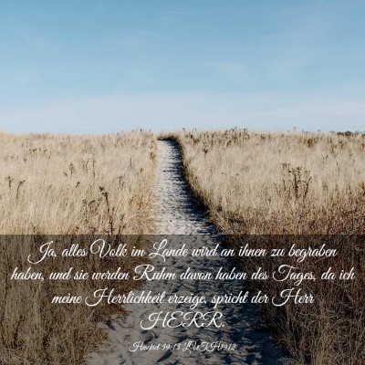 Picture 03 - Hesekiel 39:13 LUTH1912 - Ja, alles Volk im Lande wird an ihnen zu begraben - Bible Verse Picture
