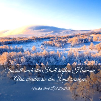 Picture 03 - Hesekiel 39:16 LUTH1912 - So soll auch die Stadt heißen Hamona. Also - Bible Verse Picture