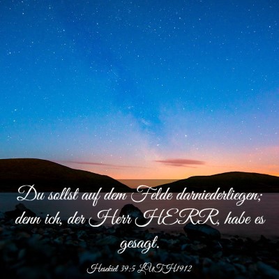 Picture 03 - Hesekiel 39:5 LUTH1912 - Du sollst auf dem Felde darniederliegen; denn - Bible Verse Picture