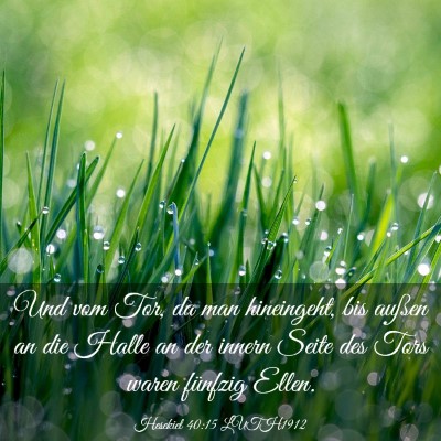 Picture 03 - Hesekiel 40:15 LUTH1912 - Und vom Tor, da man hineingeht, bis außen an die - Bible Verse Picture