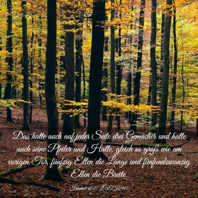 Picture 03 - Hesekiel 40:21 LUTH1912 - Das hatte auch auf jeder Seite drei Gemächer und - Bible Verse Picture