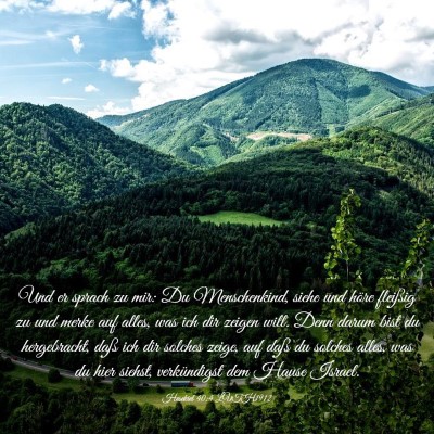 Picture 03 - Hesekiel 40:4 LUTH1912 - Und er sprach zu mir: Du Menschenkind, siehe und - Bible Verse Picture