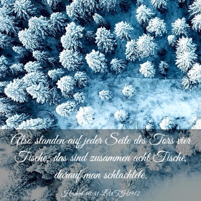 Picture 03 - Hesekiel 40:41 LUTH1912 - Also standen auf jeder Seite des Tors vier - Bible Verse Picture
