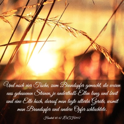 Picture 03 - Hesekiel 40:42 LUTH1912 - Und noch vier Tische, zum Brandopfer gemacht, die - Bible Verse Picture
