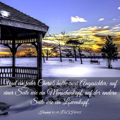 Picture 03 - Hesekiel 41:19 LUTH1912 - Und ein jeder Cherub hatte zwei Angesichter: auf - Bible Verse Picture