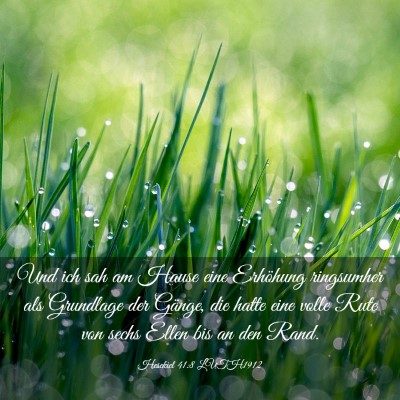 Picture 03 - Hesekiel 41:8 LUTH1912 - Und ich sah am Hause eine Erhöhung ringsumher - Bible Verse Picture